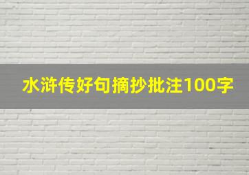 水浒传好句摘抄批注100字