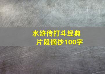 水浒传打斗经典片段摘抄100字