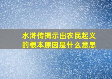 水浒传揭示出农民起义的根本原因是什么意思