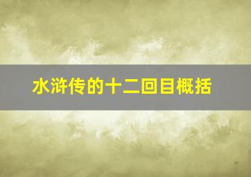 水浒传的十二回目概括