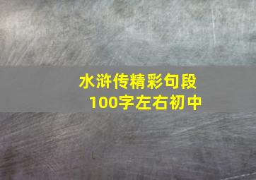 水浒传精彩句段100字左右初中