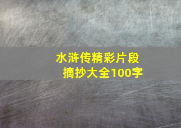 水浒传精彩片段摘抄大全100字