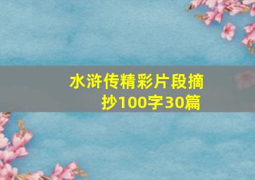 水浒传精彩片段摘抄100字30篇