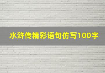 水浒传精彩语句仿写100字