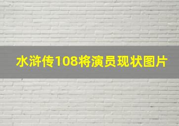 水浒传108将演员现状图片