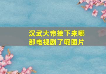 汉武大帝接下来哪部电视剧了呢图片