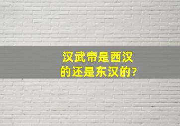 汉武帝是西汉的还是东汉的?