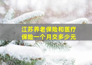 江苏养老保险和医疗保险一个月交多少元