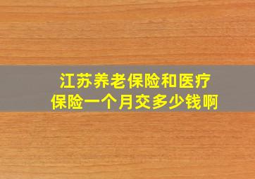 江苏养老保险和医疗保险一个月交多少钱啊