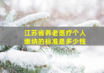 江苏省养老医疗个人缴纳的标准是多少钱