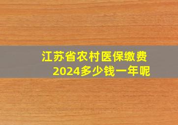 江苏省农村医保缴费2024多少钱一年呢