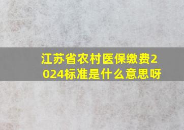 江苏省农村医保缴费2024标准是什么意思呀