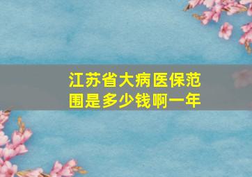 江苏省大病医保范围是多少钱啊一年