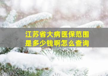 江苏省大病医保范围是多少钱啊怎么查询