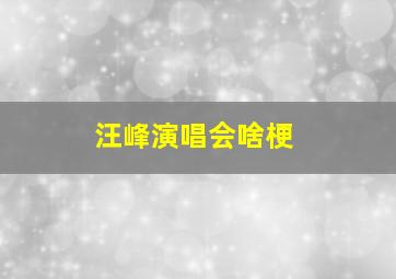 汪峰演唱会啥梗