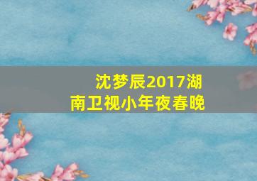 沈梦辰2017湖南卫视小年夜春晚