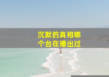 沉默的真相哪个台在播出过