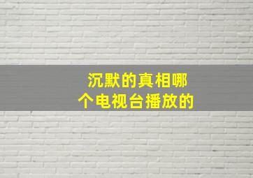 沉默的真相哪个电视台播放的