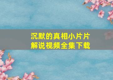 沉默的真相小片片解说视频全集下载