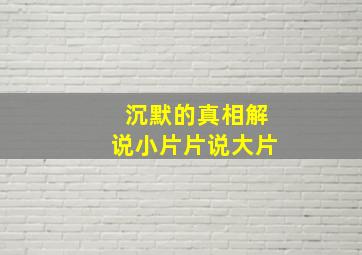 沉默的真相解说小片片说大片