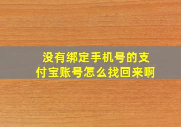 没有绑定手机号的支付宝账号怎么找回来啊