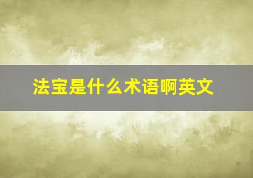 法宝是什么术语啊英文