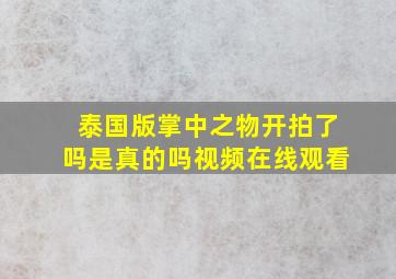 泰国版掌中之物开拍了吗是真的吗视频在线观看