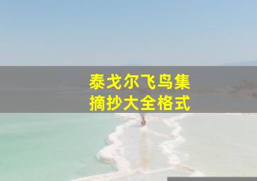 泰戈尔飞鸟集摘抄大全格式