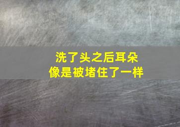 洗了头之后耳朵像是被堵住了一样