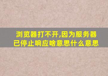 浏览器打不开,因为服务器已停止响应啥意思什么意思