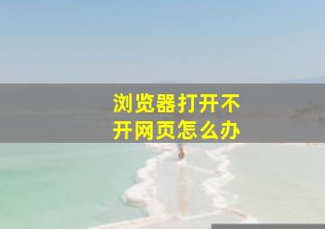 浏览器打开不开网页怎么办