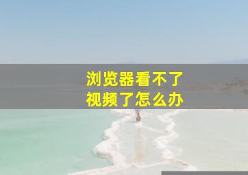 浏览器看不了视频了怎么办