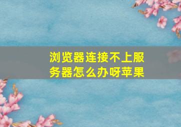 浏览器连接不上服务器怎么办呀苹果