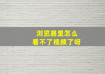 浏览器里怎么看不了视频了呀