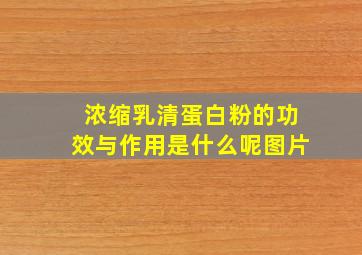 浓缩乳清蛋白粉的功效与作用是什么呢图片