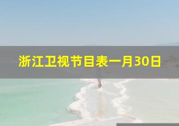 浙江卫视节目表一月30日