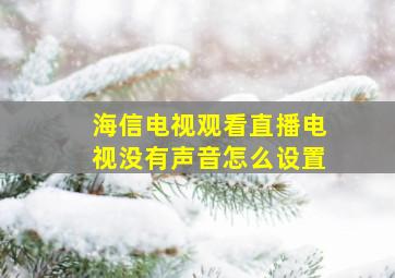 海信电视观看直播电视没有声音怎么设置