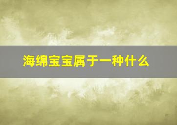 海绵宝宝属于一种什么