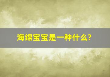 海绵宝宝是一种什么?