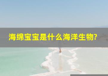 海绵宝宝是什么海洋生物?