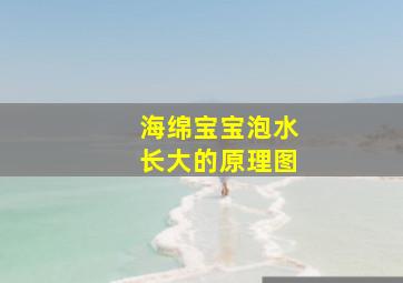 海绵宝宝泡水长大的原理图