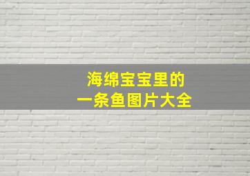 海绵宝宝里的一条鱼图片大全