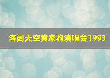 海阔天空黄家驹演唱会1993