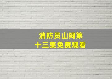 消防员山姆第十三集免费观看