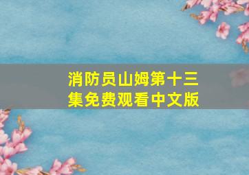 消防员山姆第十三集免费观看中文版