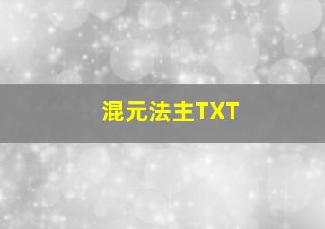 混元法主TXT