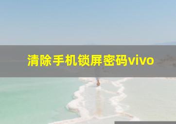 清除手机锁屏密码vivo