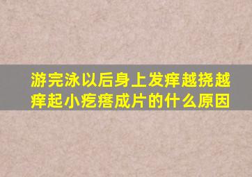 游完泳以后身上发痒越挠越痒起小疙瘩成片的什么原因