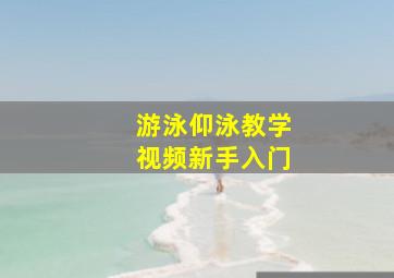 游泳仰泳教学视频新手入门