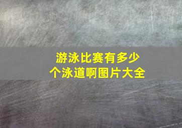 游泳比赛有多少个泳道啊图片大全